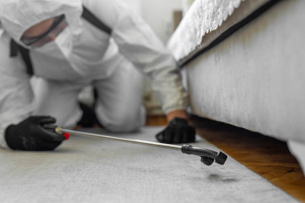Professional Bed Bug Control technician working in Virginia, MN